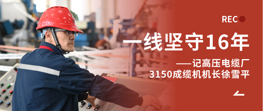 徐雪平：匠“成”于心，十六年筚路“缆”缕